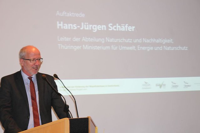 Bild: Mittel zum Schutz der Mopsfledermaus