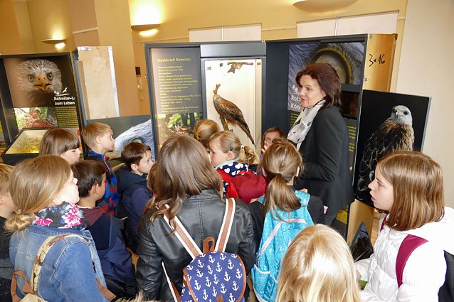 Bild: Grundsch&uuml;ler besuchten Wanderausstellung zum Rotmilan