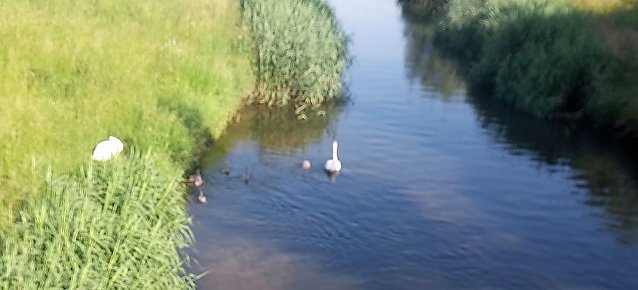Bild: Dies und das aus Sondershausen