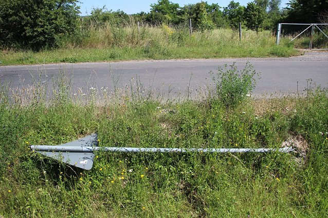 Bild: Vandalismus, toter Fisch und mehr