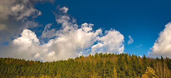 Bild: Tolle Leistungen geehrt