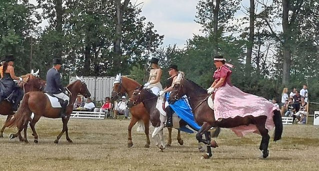 Bild: Gro&szlig;es Ponyfest Gro&szlig;enehrich