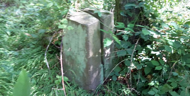 Bild: Geschichte vergammelt im Wald