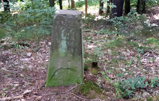 Bild: Geschichte vergammelt im Wald