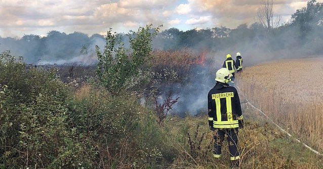 Bild: Fl&auml;chenbrand
