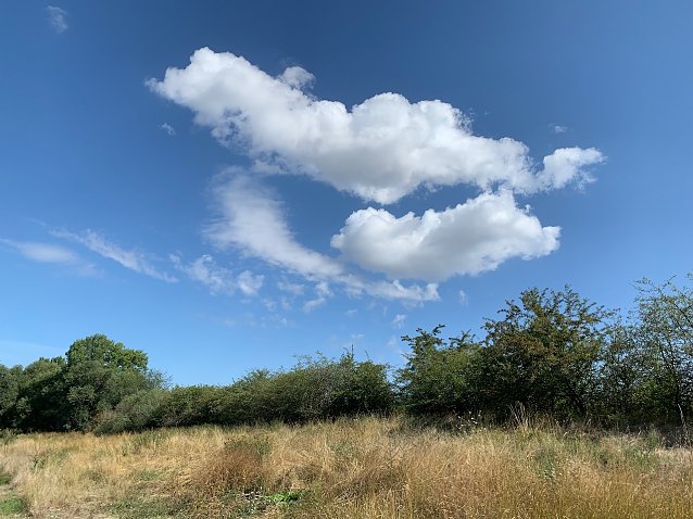 Bild: wetter