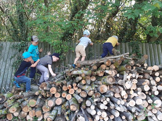Bild: Waldzeit in der Kindertagesst&auml;tte Pfiffikus�