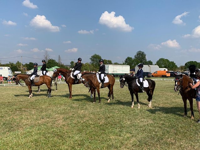 Bild: Dressur- uns Springturnier in Donndorf