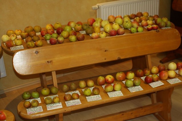 Bild: S&uuml;dharzer Obsttage
