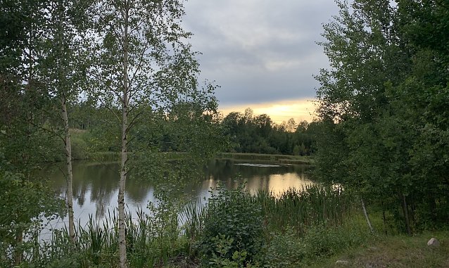 Bild: wetter