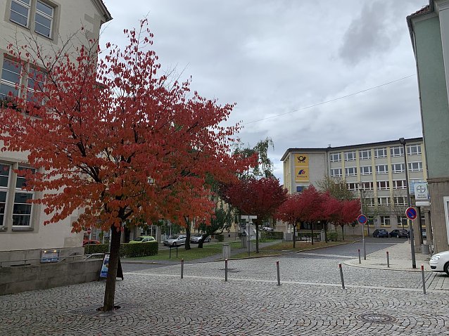 Bild: wetter