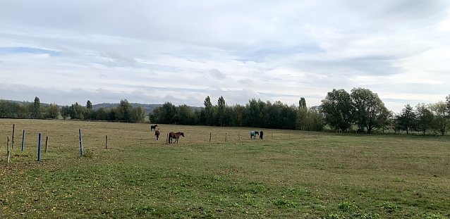 Bild: wetter