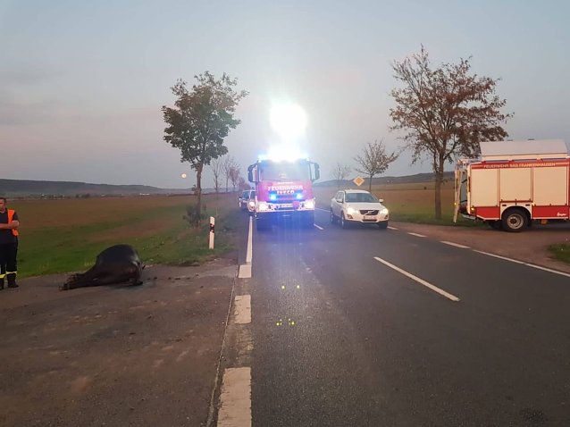 Bild: Unfall