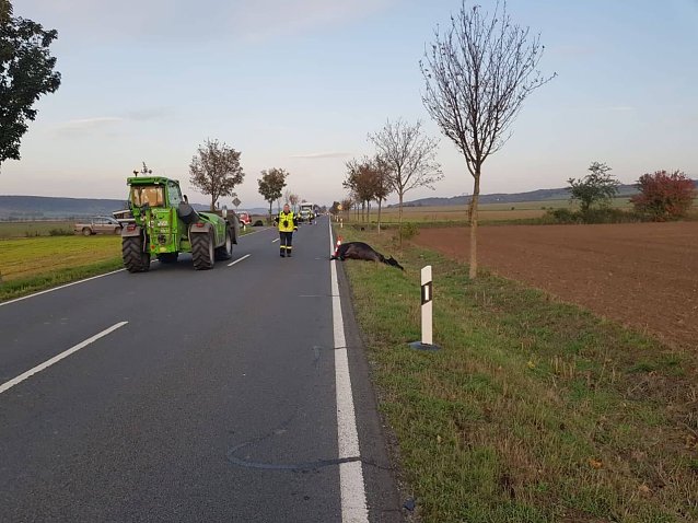 Bild: Unfall