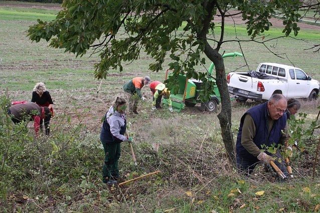 Bild: Aktionstag Landschaftspflege