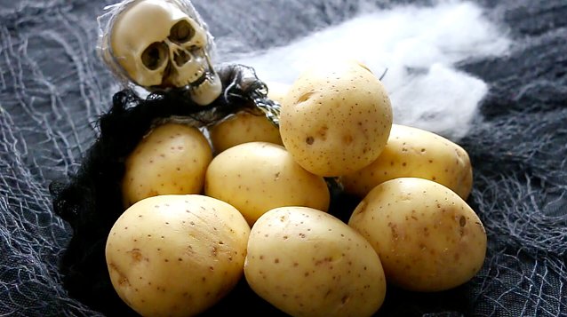 Bild: halloween