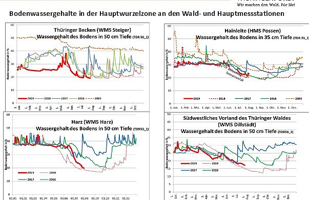 Bild: Waldzustand ist d&uuml;sterer als erwartet
