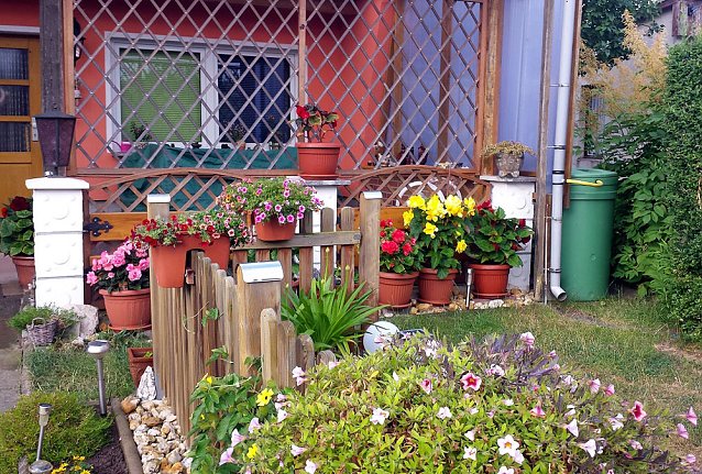 Bild: Das Gartenjahr 2019 geht zu Ende�