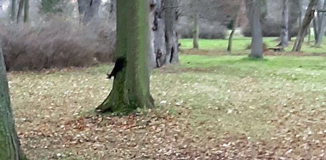 Bild: Kurzmeldungen aus Sondershausen