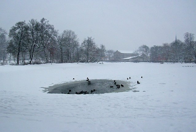 Bild: Parksee Schlosspark Sondershausen
