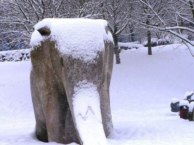 Bild: Winter im Borntal