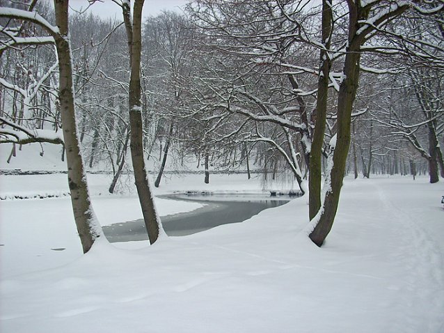 Bild: Parkteich Sondershausen
