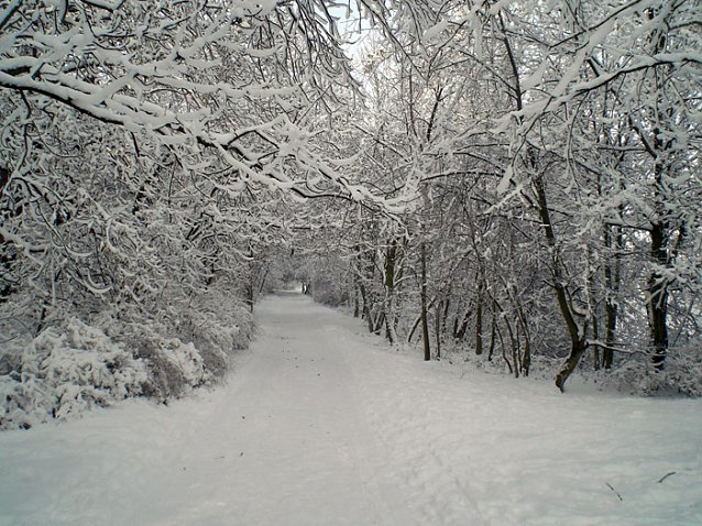 Bild: Winter in Artern