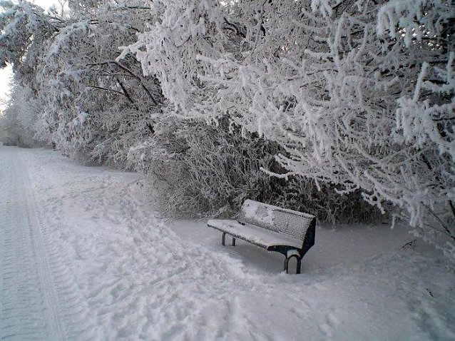 Bild: Winter in Artern