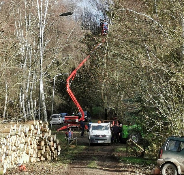 Bild: F&auml;llarbeiten im Obertopfstedter W&auml;ldchen so gut wie abgeschlossen