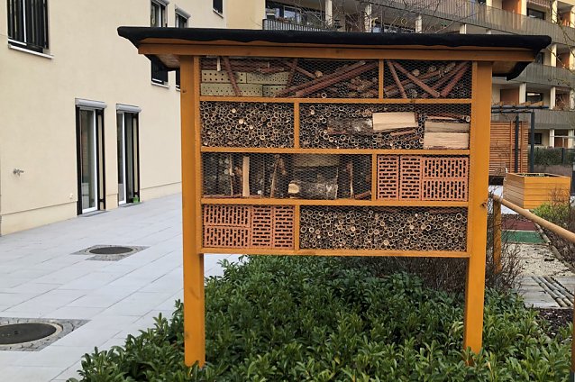 Bild: Insektenhotel gebaut