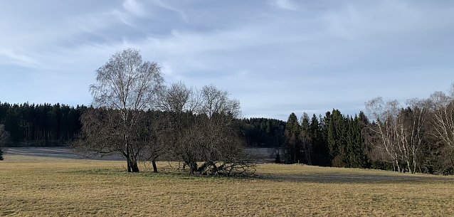 Bild: wetter