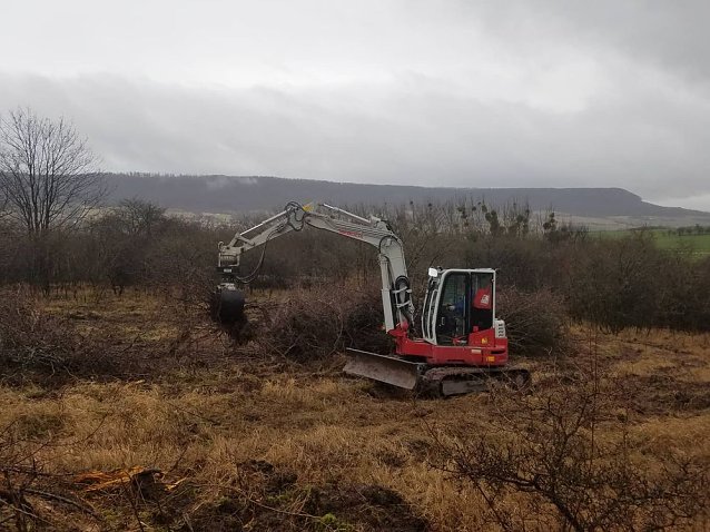 Bild: Natura 2000-Station erh&auml;lt wertvolle Lebensr&auml;ume