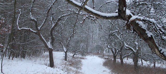 Bild: Winterwetter