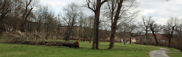 Bild: Sanierungskonzept f&uuml;r Schlosspark n&ouml;tig?