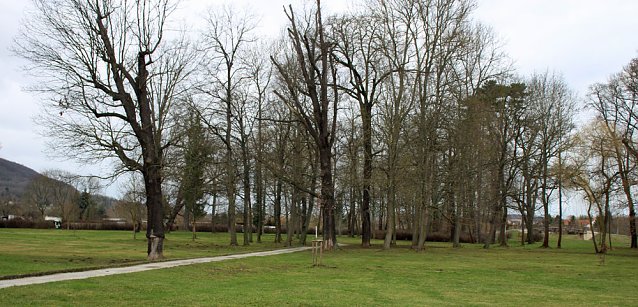 Bild: Sanierungskonzept f&uuml;r Schlosspark n&ouml;tig?