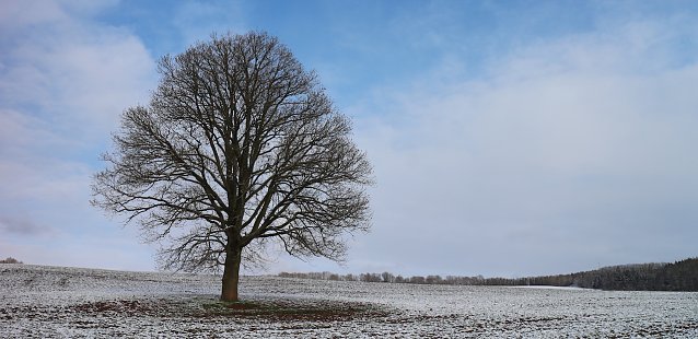 Bild: wetter