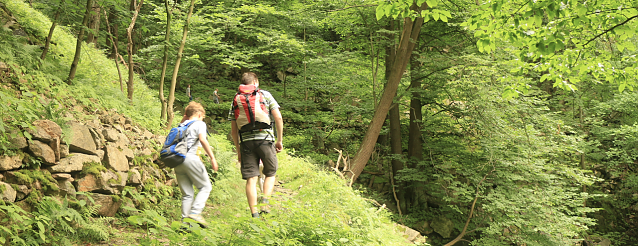 Bild: Wandern im Harz
