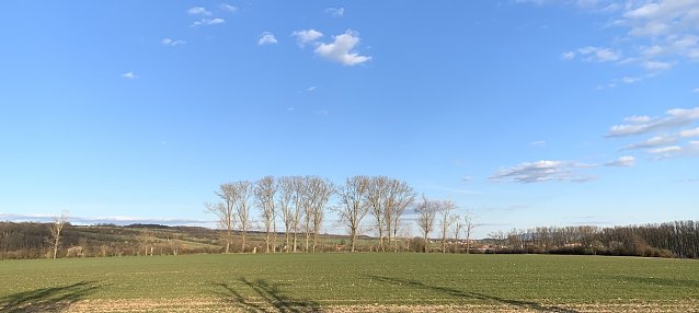 Bild: wetter