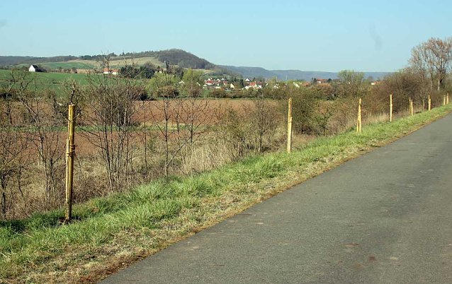 Bild: Obstb&auml;ume gepflanzt