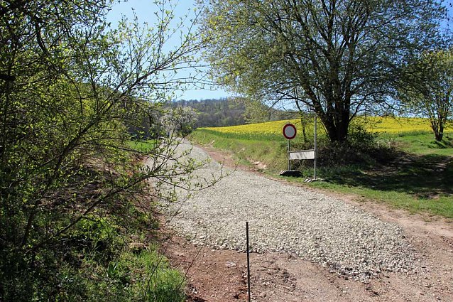 Bild: Sanierter Forstweg &uuml;bergeben