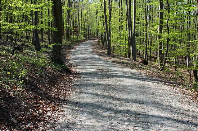 Bild: Sanierter Forstweg &uuml;bergeben