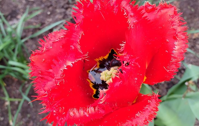 Bild: Fr&uuml;hling