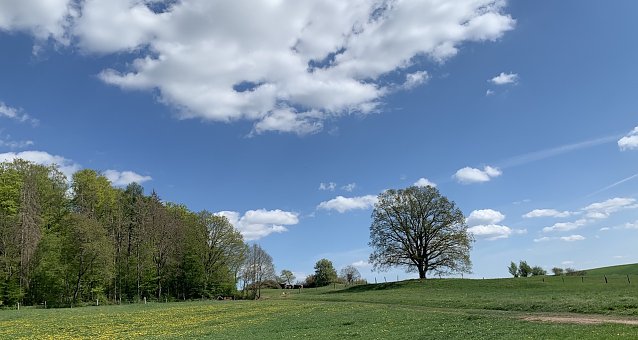 Bild: Wetter