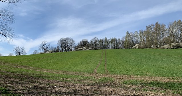 Bild: Wetter