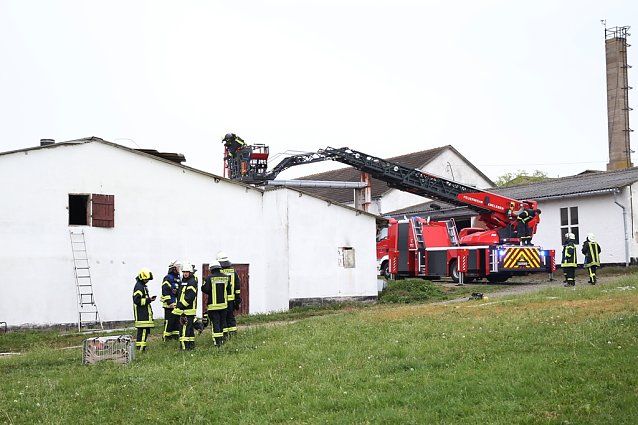 Bild: Rauch in Schweinestall