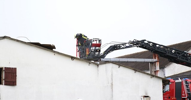 Bild: Rauch in Schweinestall