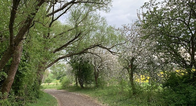 Bild: wetter