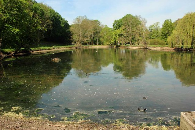 Bild: Den Parkteichen von Sondershausen fehlt (e) das Wasser