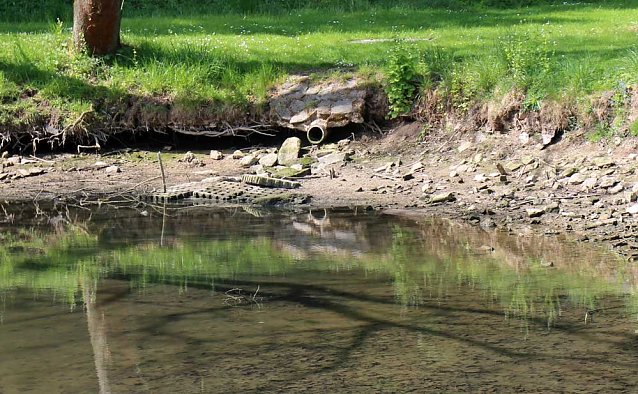 Bild: Den Parkteichen von Sondershausen fehlt (e) das Wasser