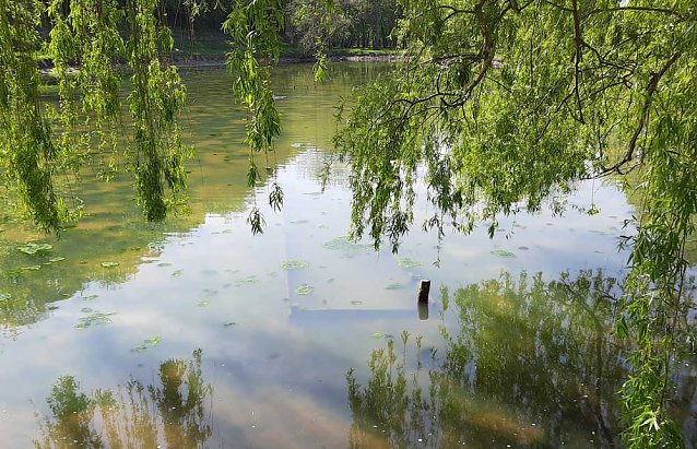 Bild: Den Parkteichen von Sondershausen fehlt (e) das Wasser